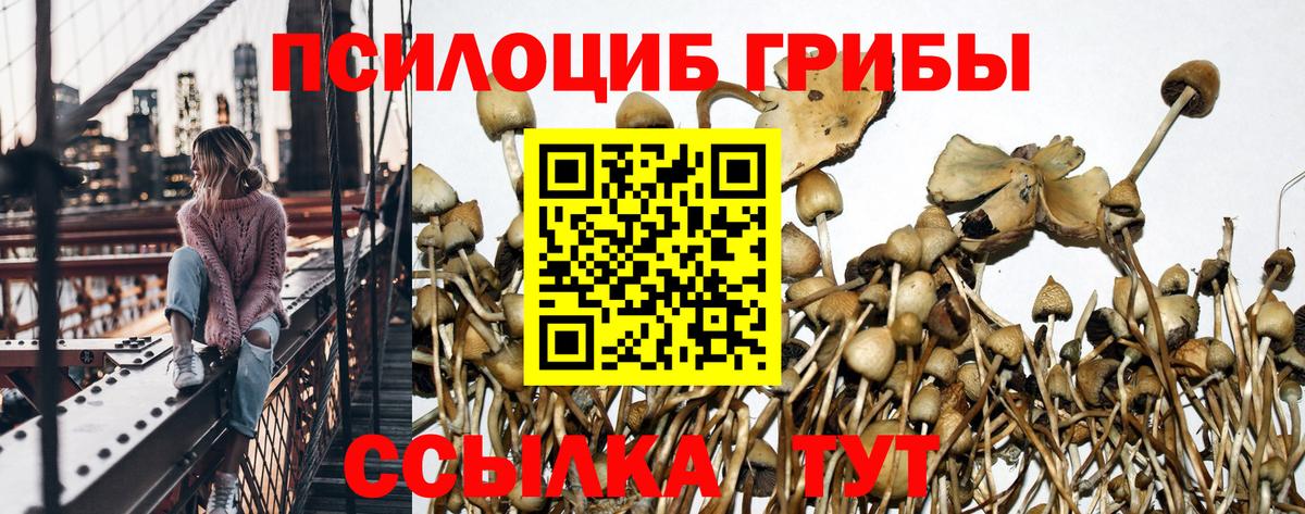 Псилоцибиновые грибы MAGIC MUSHROOMS  Вход с VPN  Галлюциногенные грибы Magic Shrooms  Бийск 